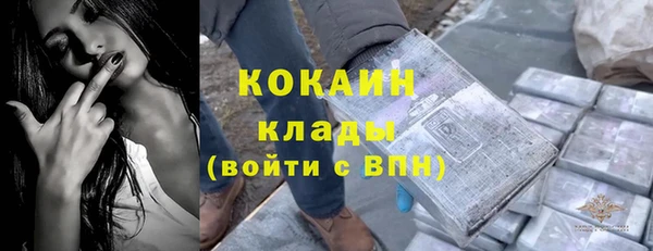 индика Лиски