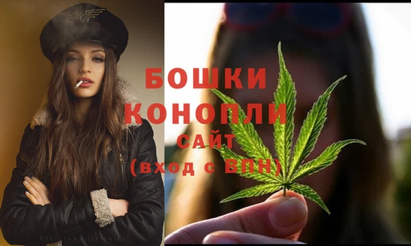 индика Лиски