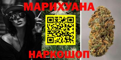 стафф Камышлов