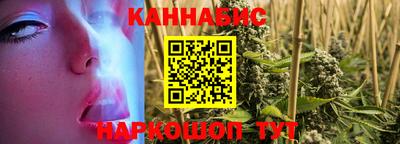 стафф Камышлов