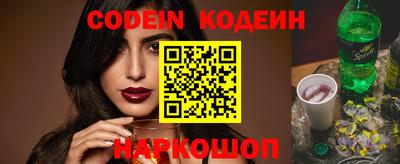 мдпв Кингисепп