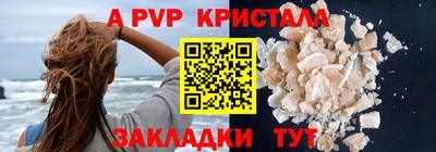 стафф Камышлов