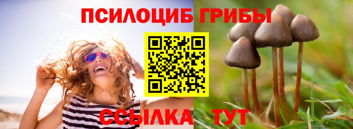 Чапаевск  Псилоцибиновые грибы мицелий  Вход с VPN 